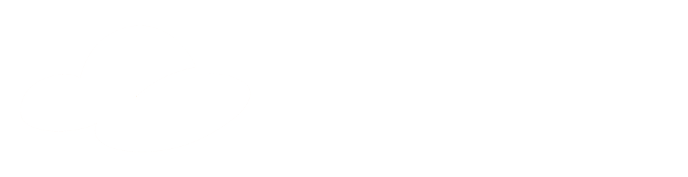 deich8-logo_weiss.png